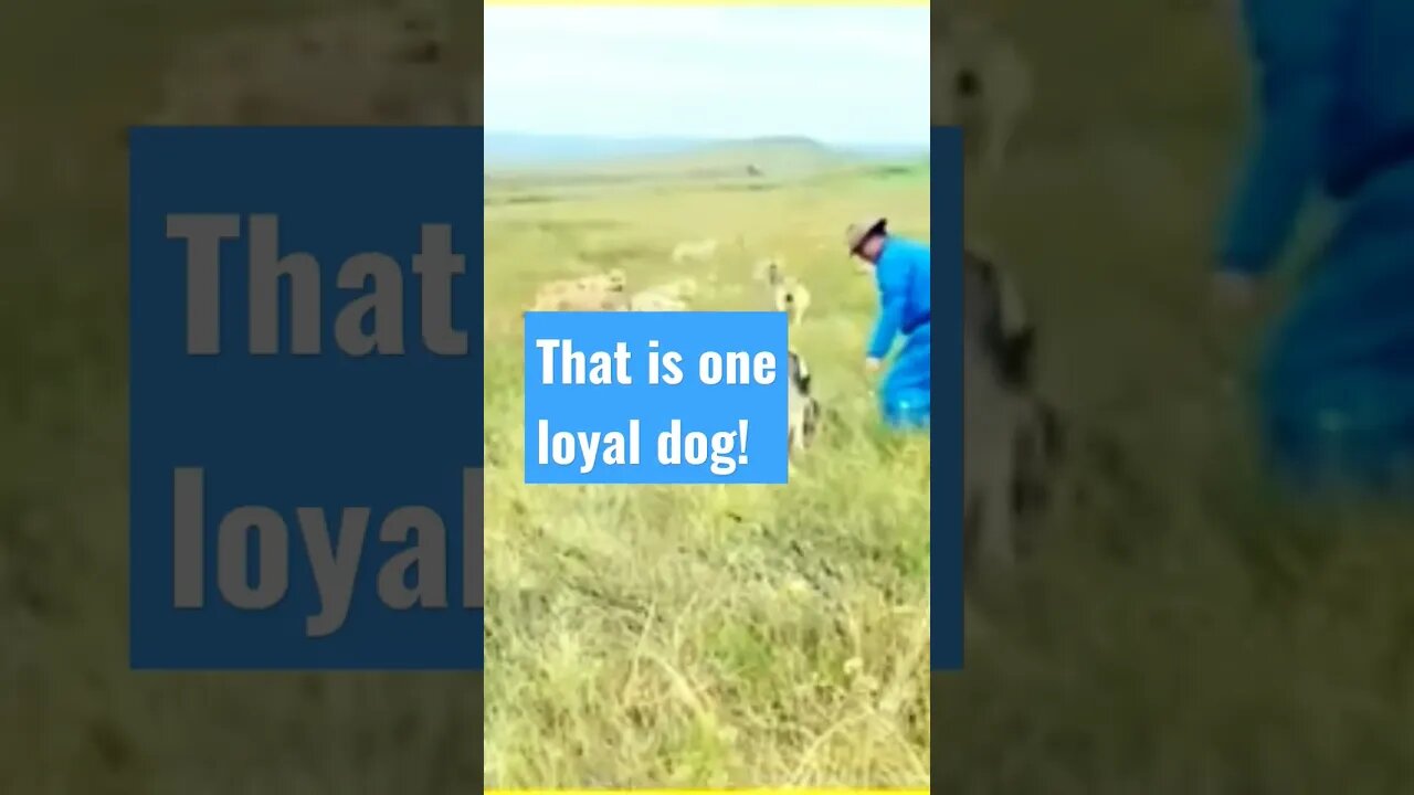The Only Thing That Could Save Him Was His Dog