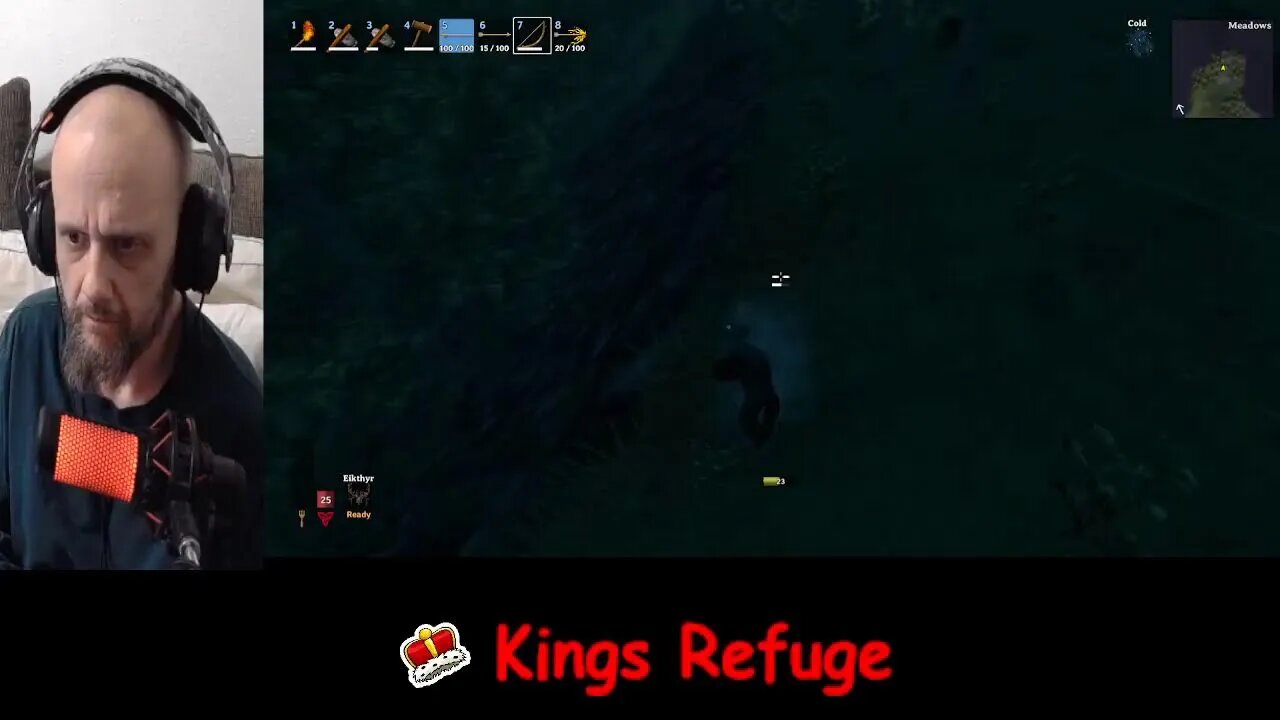 Playing some Valheim.