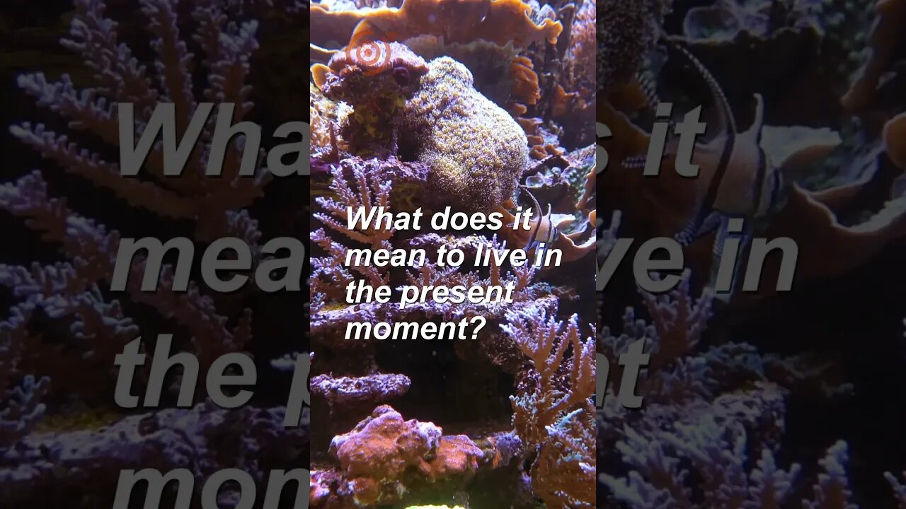 What does it mean to live in the present moment? #shorts #mindselevate #expandyourmind