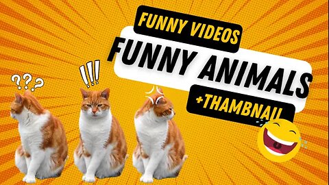 Funny and Comedy Animal Video