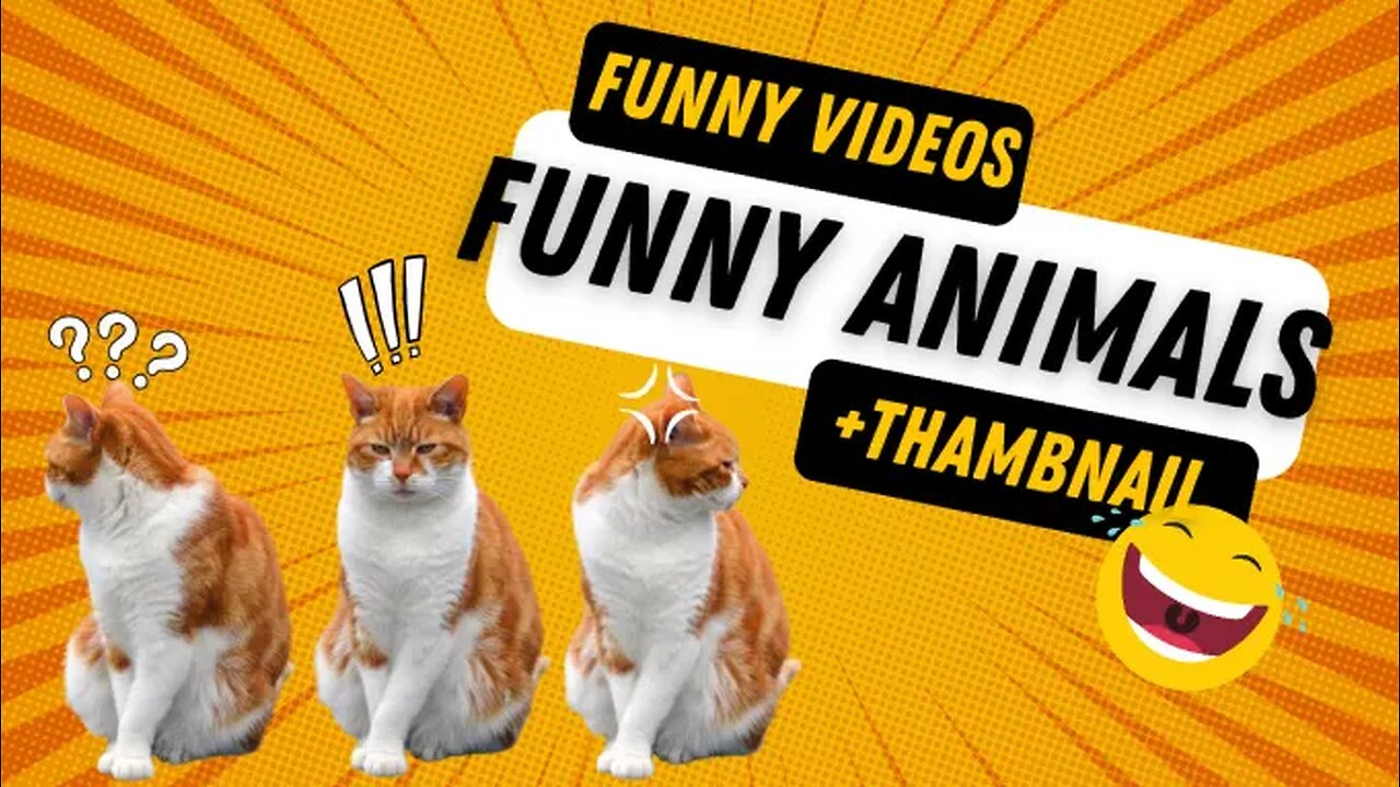 Funny and Comedy Animal Video