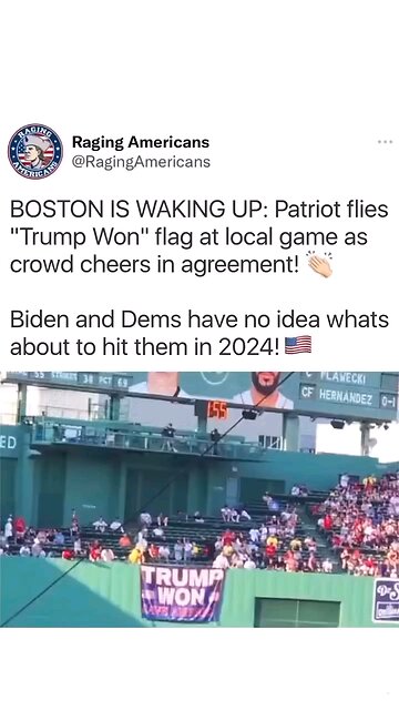 THIS HAPPENED AT FENWAY PARK