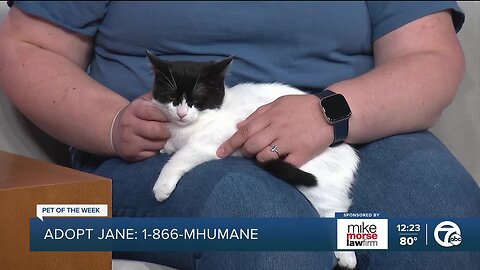 Michigan Humane Pet of the Week: Jane