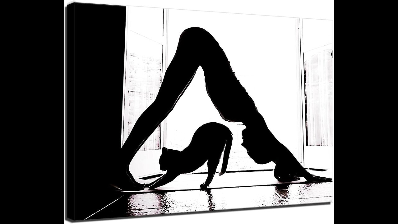 Monalisa Cat Step, Doggy Step, Cat, Dog, Hot Video, Sexy Video, Indian Video, Cat Pet, Dog Pet,