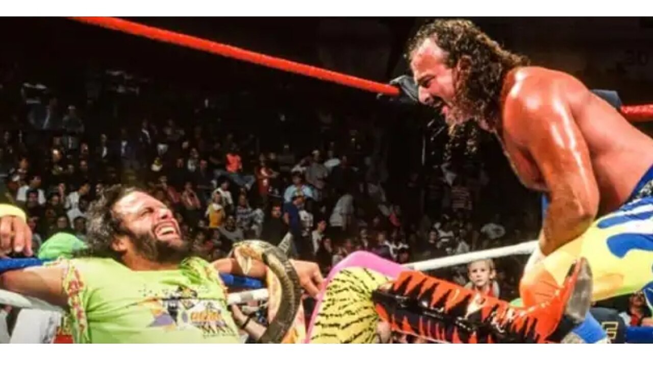 RANDY SAVAGE CONVINCED HIMSELF MY SNAKE POISONED HIM " JAKE ROBERTS