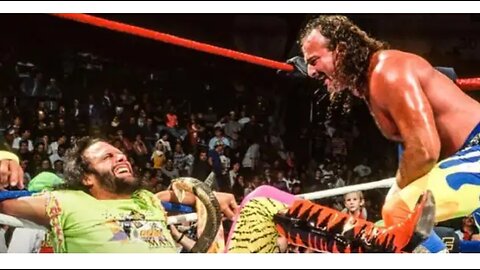 RANDY SAVAGE CONVINCED HIMSELF MY SNAKE POISONED HIM " JAKE ROBERTS