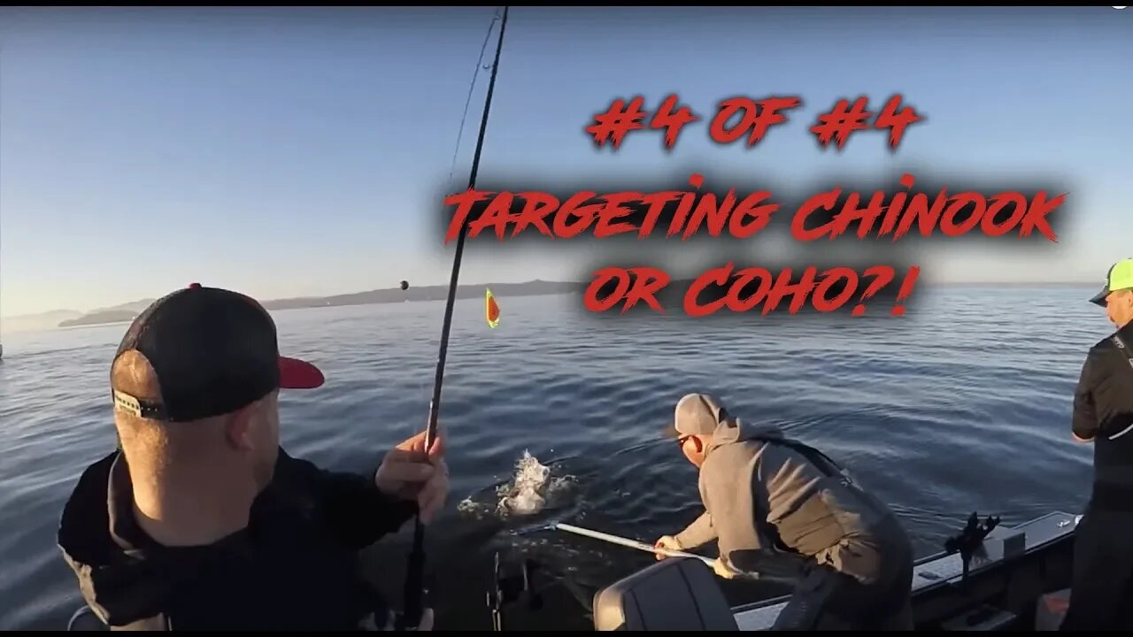 How To Catch Chinook or Coho Salmon In Astoria Oregon