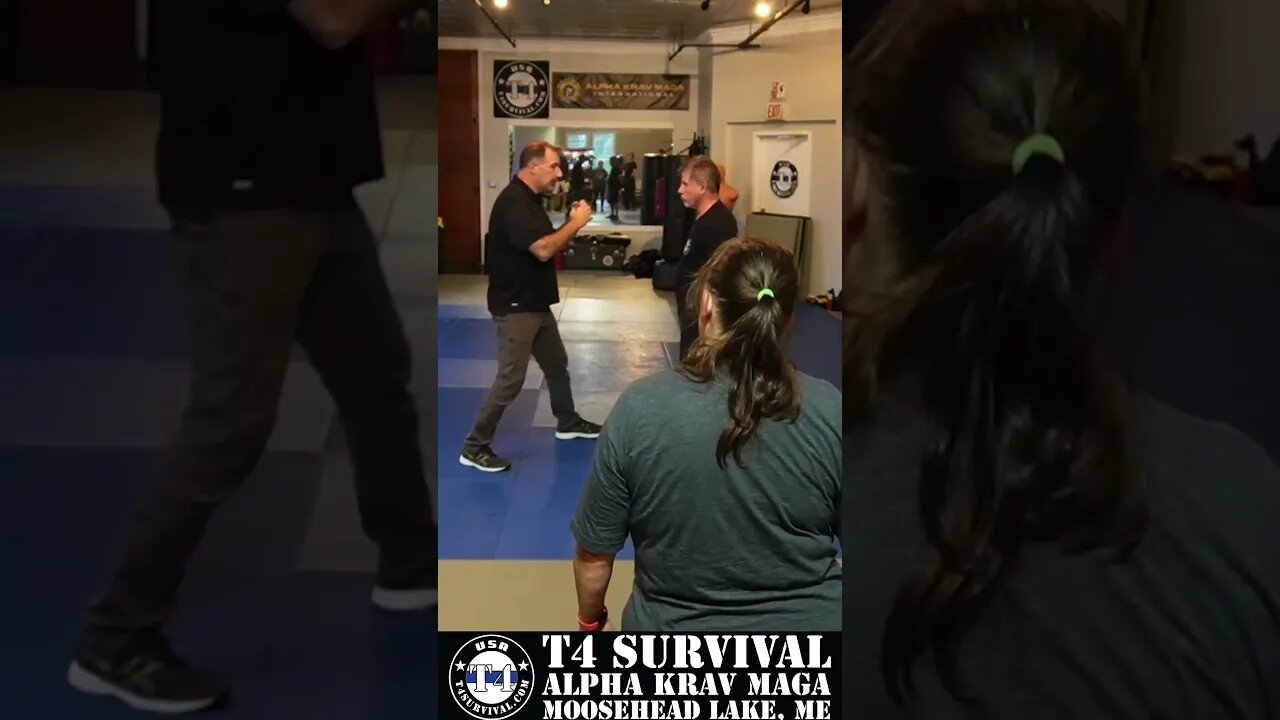 Penetrating punch proper distance #selfdefense #kravmaga #martialarts #mma #fight #fighting