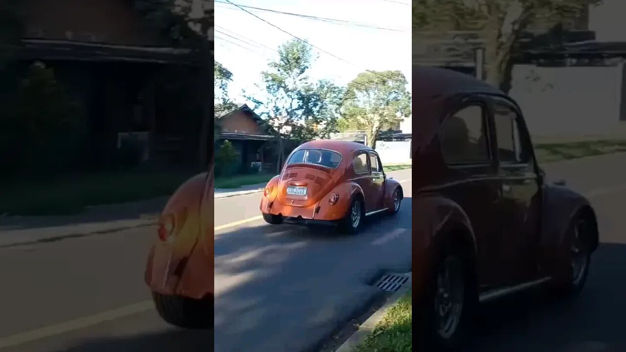 Fusca Marrom