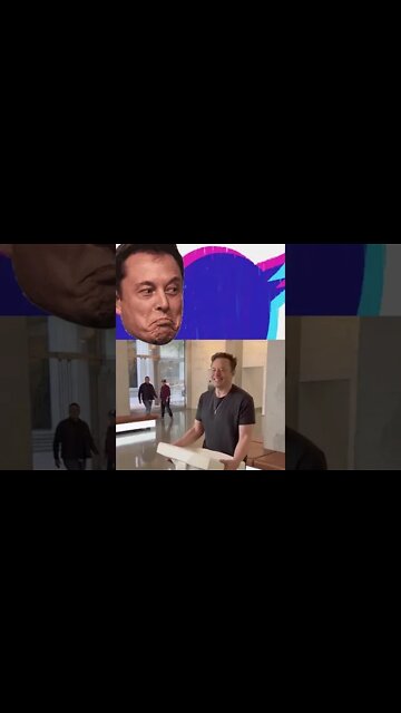 DOGECOIN is on FIRE 🔥 Elon Musk & Twitter hype