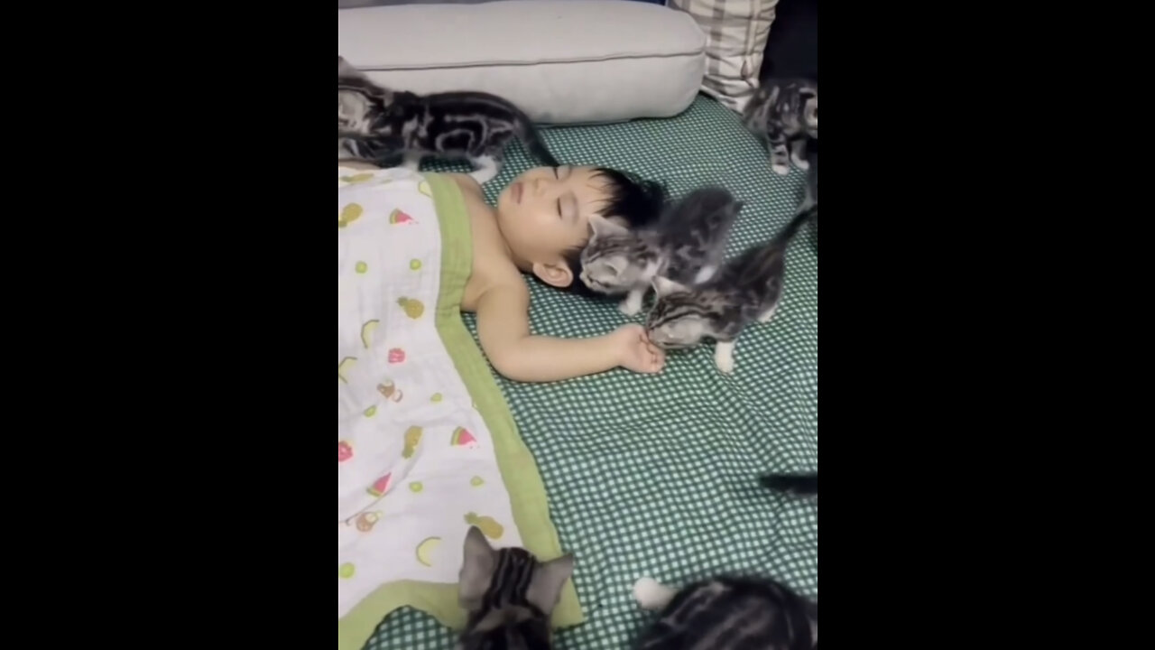 Caring and smart animal pet