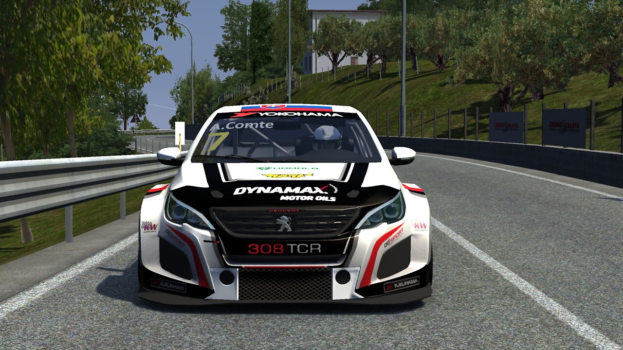 Peugeot / Tino / Assetto Corsa / ProtosimRacing