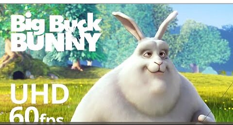 Big buck bunny cartoon video short film