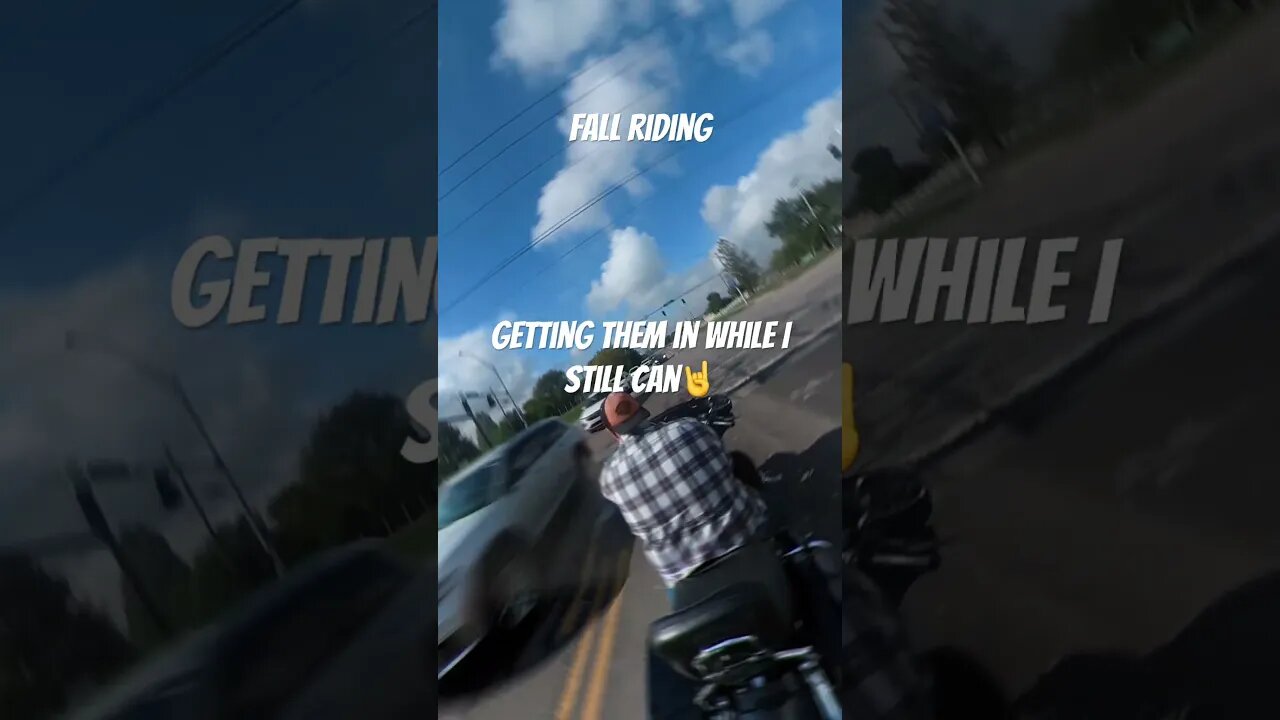 Harley Davidson fall riding! #shorts #harleydavidson #insta360 #viral