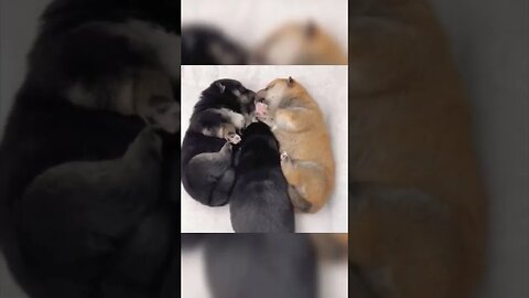 Let me squeeze in.. 😊