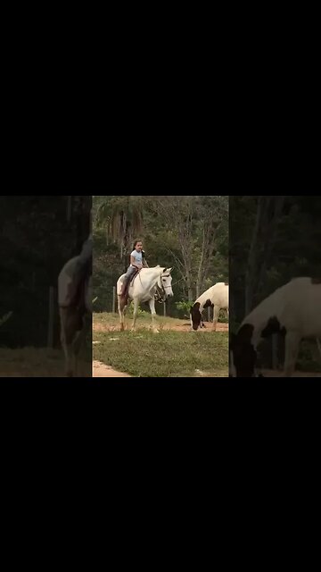 GANHEI UM NOVO CAVALO #tiktok #viral #fazenda #top #infantil #shorts