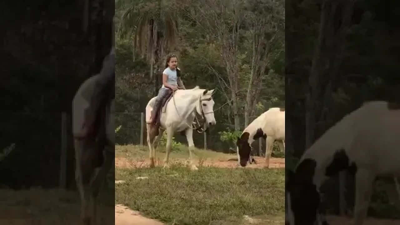 GANHEI UM NOVO CAVALO #tiktok #viral #fazenda #top #infantil #shorts