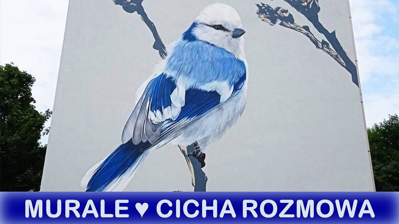 Murale - cicha rozmowa, informacja, przekaz