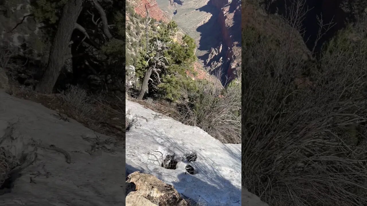 Amazing Grand Canyon filmed from the edge safely with an extension on my GoPro.