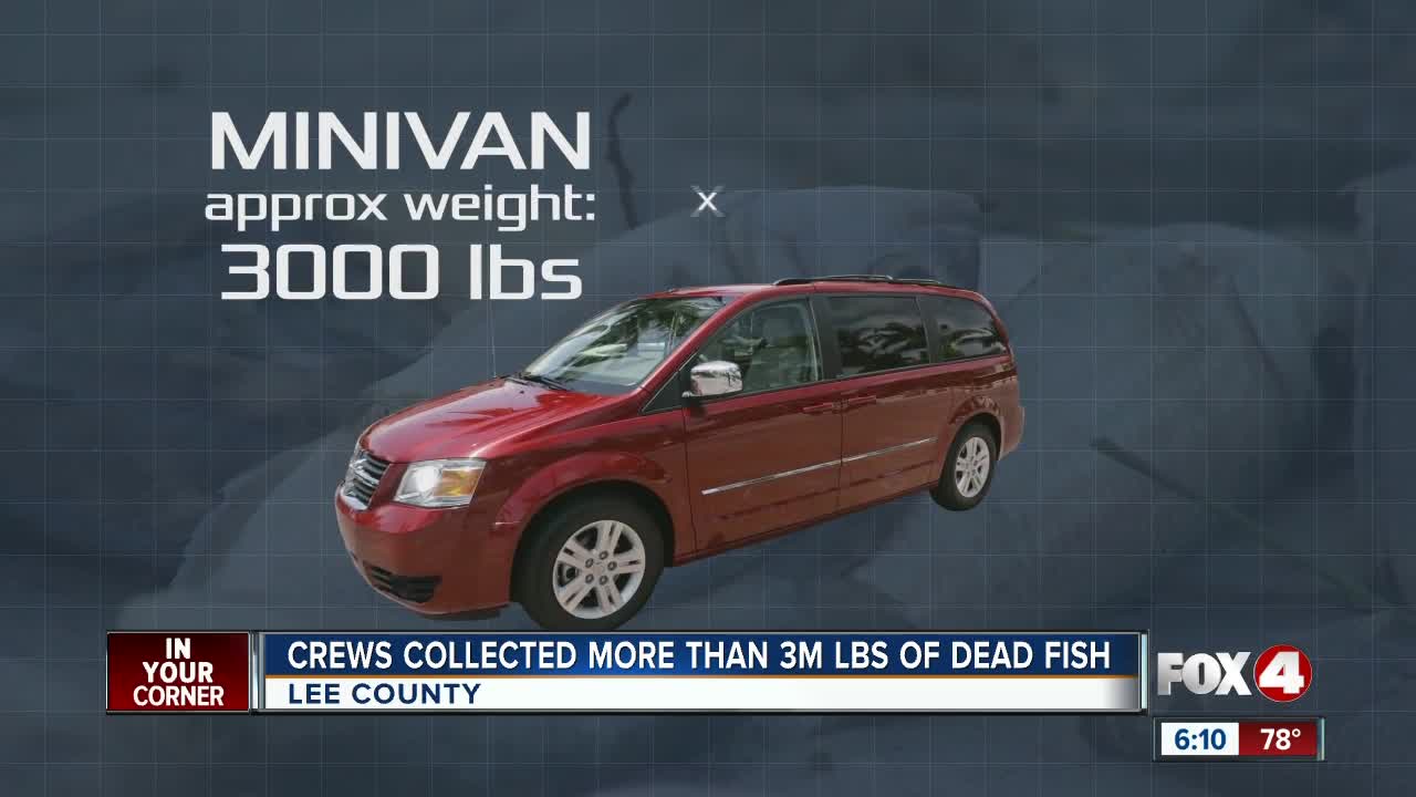 Over 3 million pounds of dead fish cleaned up from Lee County waters