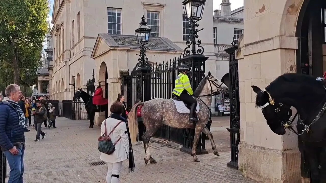 Met police horse acting strange #horseguardsparade