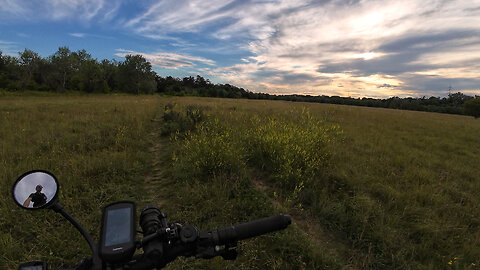 Cycling, 17.06.2024 [H] Lobau