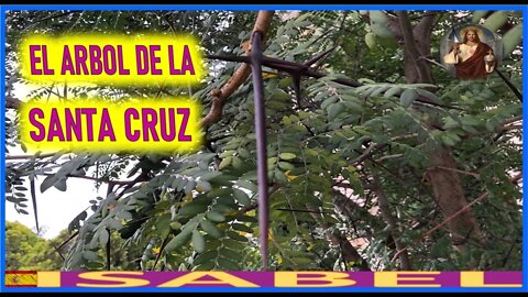 EL ARBOL DE LA SANTA CRUZ - PASION DE NUESTRO SEÑOR JESUCRISTO POR ISABEL