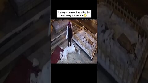 video engraçado 01