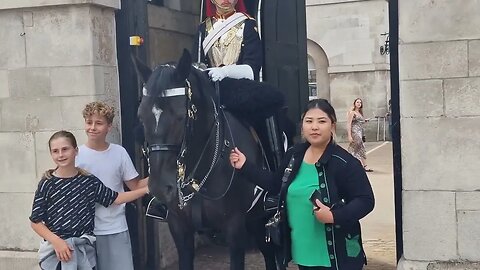 Holdings the reins one for the photo book #horseguardsparade