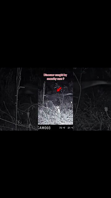 Dinosaur caught on security cam 🦖