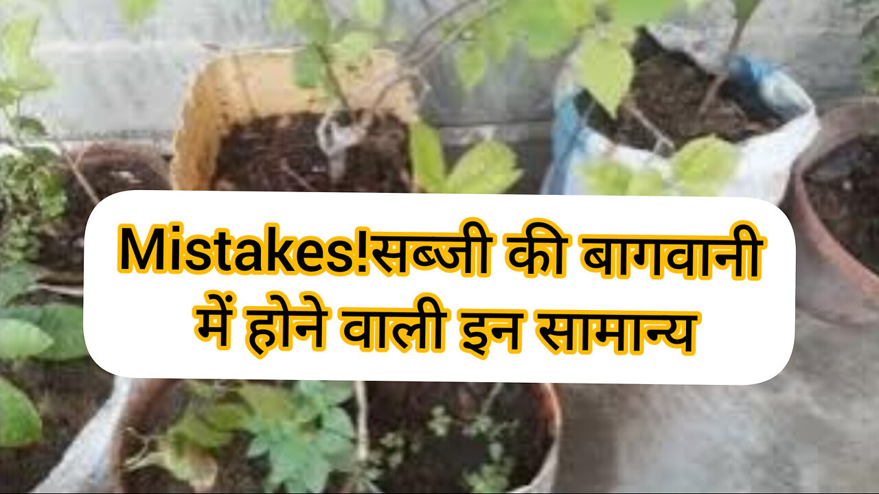 Mistakes!सब्जी की बागवानी में होने वाली इन सामान्य