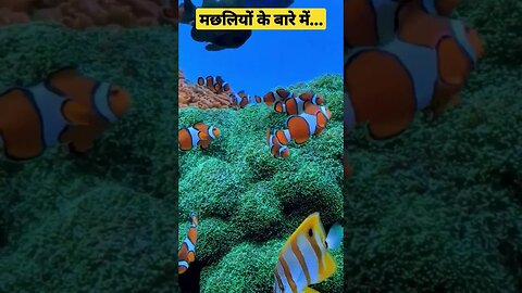 मछलियों के बारे में...l About fish l #viral #mm5 #ytshorts #shorts