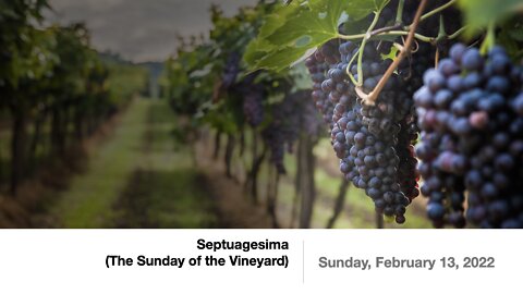 Septuagesima (The Sunday of the Vineyard) - February 13, 2022