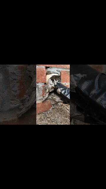 The Nest. #hvacguy #hvaclife #hvac #airconditioner #heatpump #furnace #hvactechnician #nest