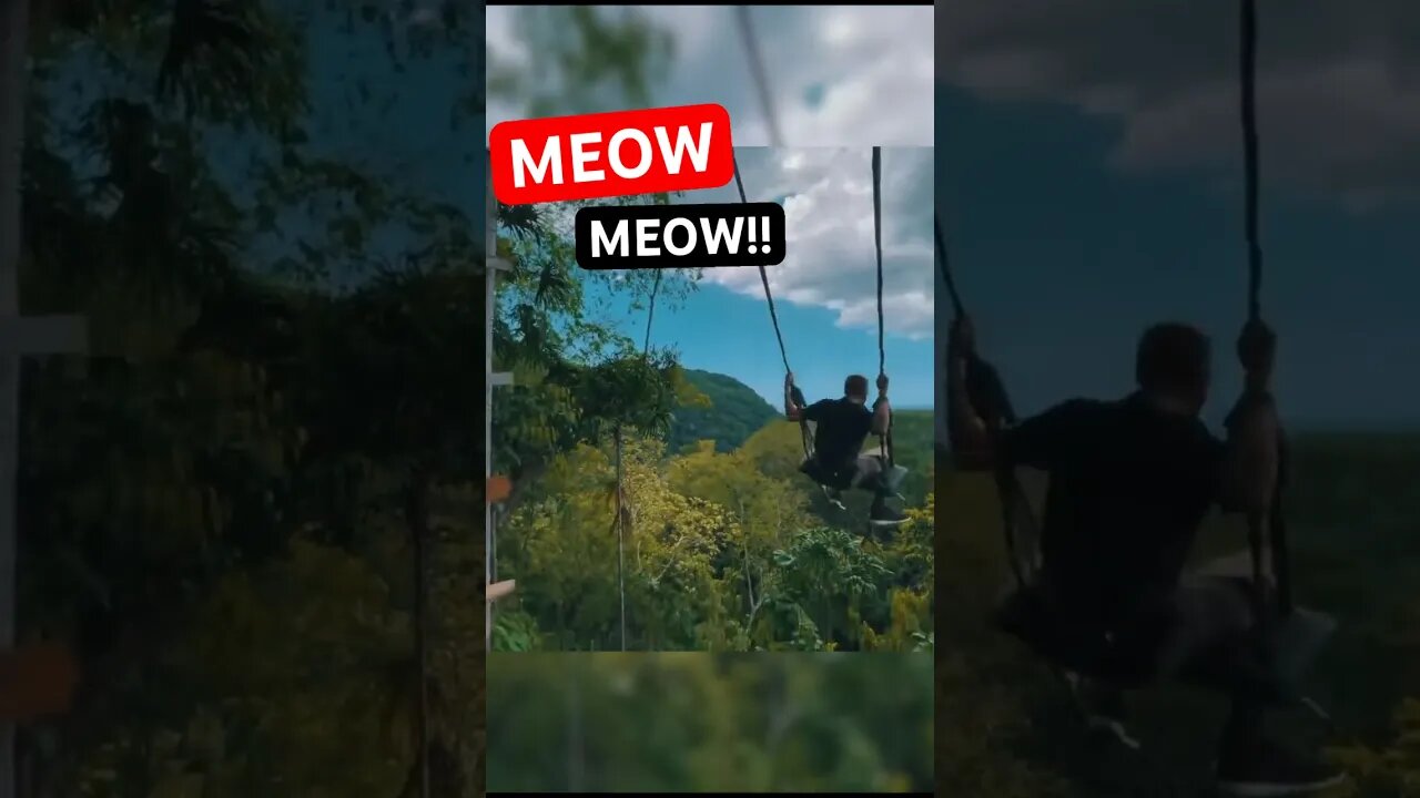 Let Out the Meow Meow! | 7 Mile Swing Jamaica TEASER! #shorts #travel #jamaica