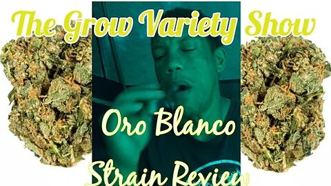 (White Gold) Oro Blanco strain Review (The Grow Variety Show ep. 195)