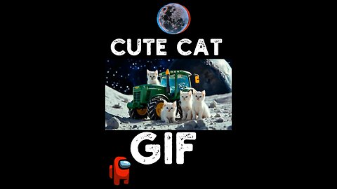 Cute Cat Gif