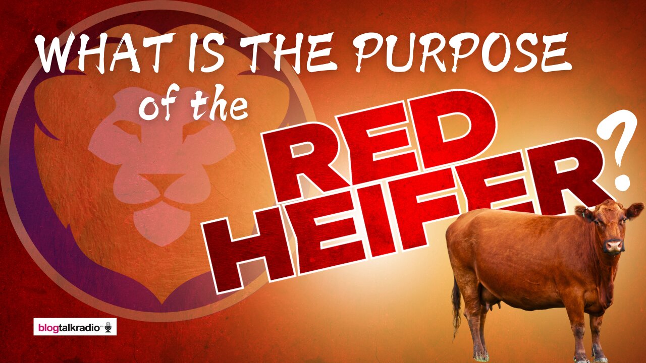 What is the Purpose of the Red Heifer?