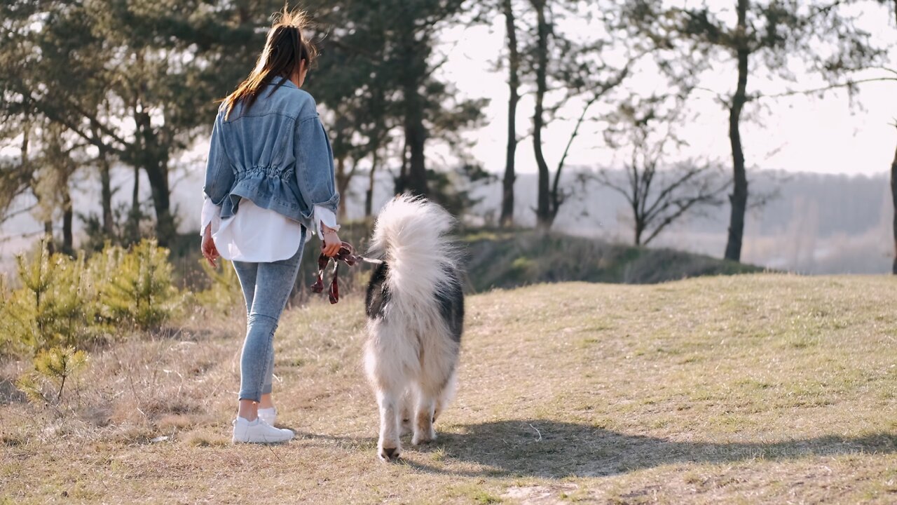 Woman Walking The Dog.