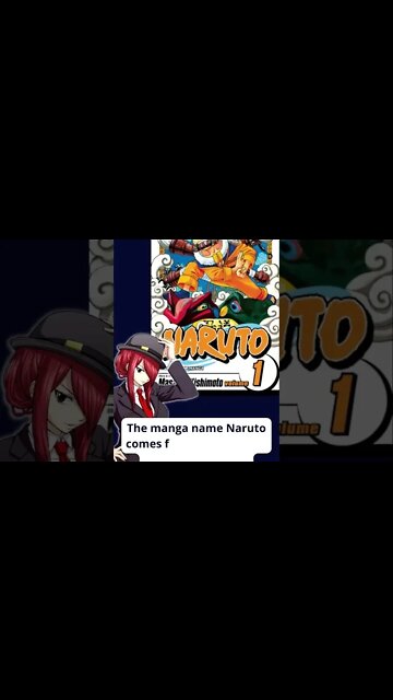 Did you know that NARUTO CITY....