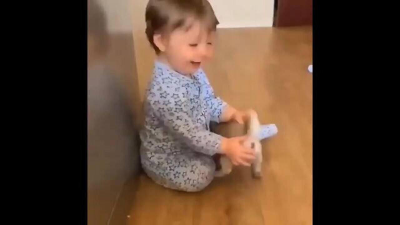 Baby Plays with dogs