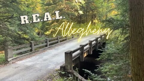 A Final Breakdown in Allegheny Decomissions Us,,,However Our Journey Still Has A Beautiful Ending