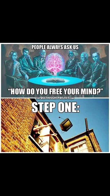 Mockingbird corporate media got their Kamala Harris GAINING MOMENTUM talking points!