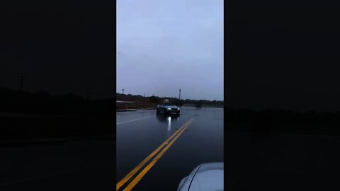 Baby BMW enjoying the weather