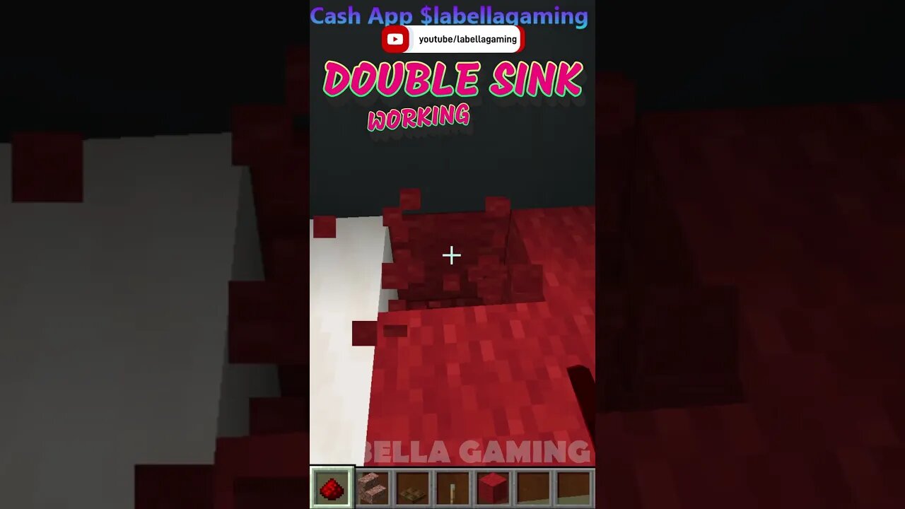 Working DOUBLE Sink | Minecraft