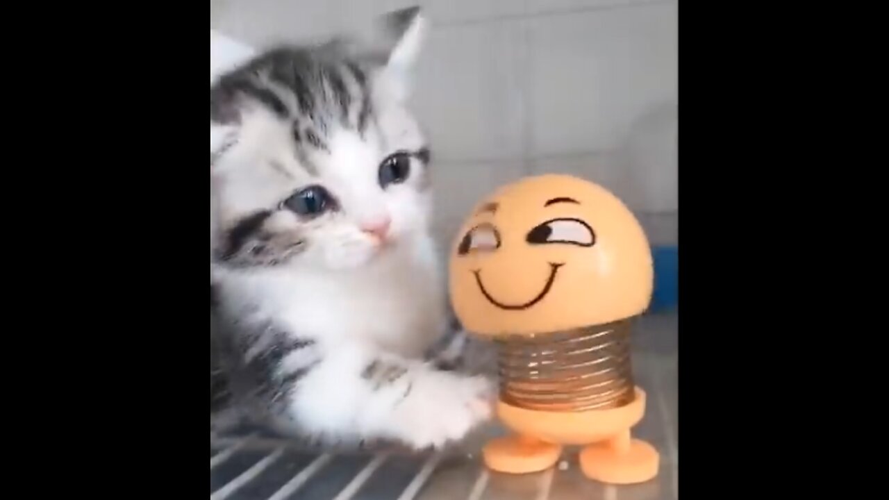 Cute And Funny Pets | Pets Compilation #4