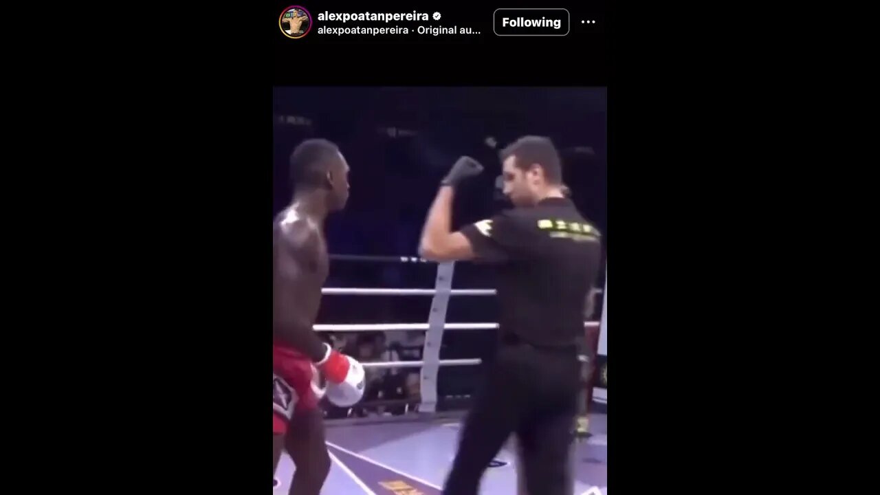 funny fight mma