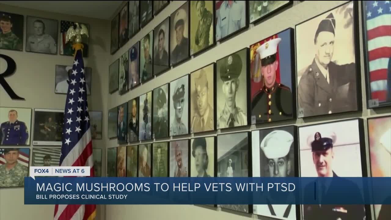 House Bill aims to use mushrooms to help treat veterans with PTSD