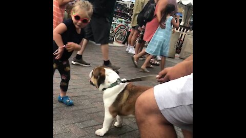 Dog spotting ~ Met Oppi at Huntington Beach CA