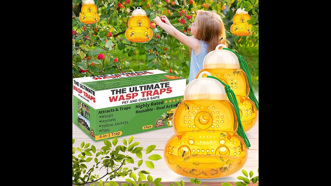 Wasp Trap Outdoor Hanging